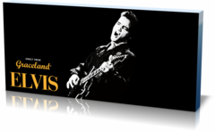 Постер личности Элвис Пресли 1 Elvis Presley-250470